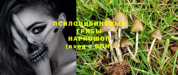 ПСИЛОЦИБИНОВЫЕ ГРИБЫ Белоозёрский