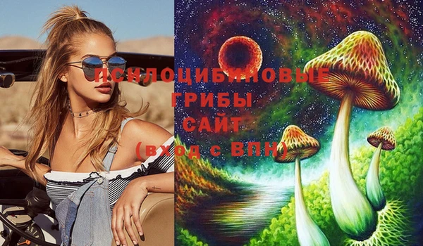 метадон Белокуриха