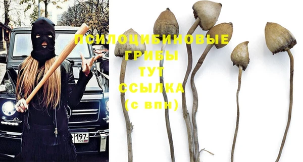 ПСИЛОЦИБИНОВЫЕ ГРИБЫ Белоозёрский