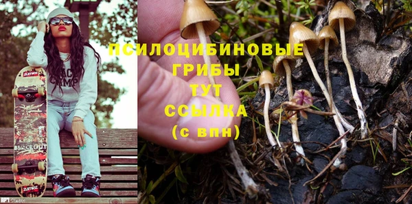 ПСИЛОЦИБИНОВЫЕ ГРИБЫ Белоозёрский