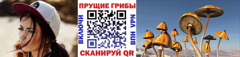 Галлюциногенные грибы Cubensis  Теберда 