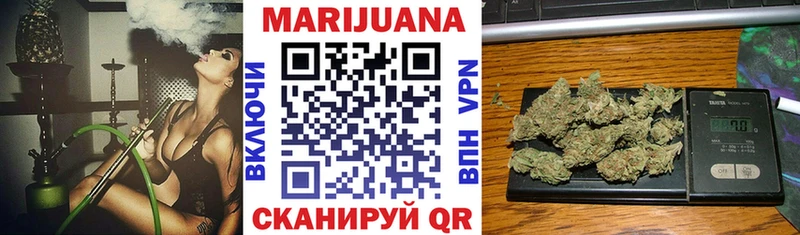 Шишки марихуана планчик купить наркоту это как зайти Теберда